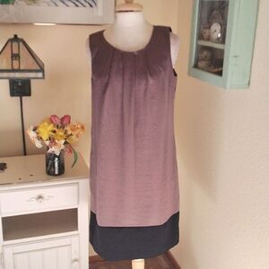 Ann Taylor Loft Shift Dress